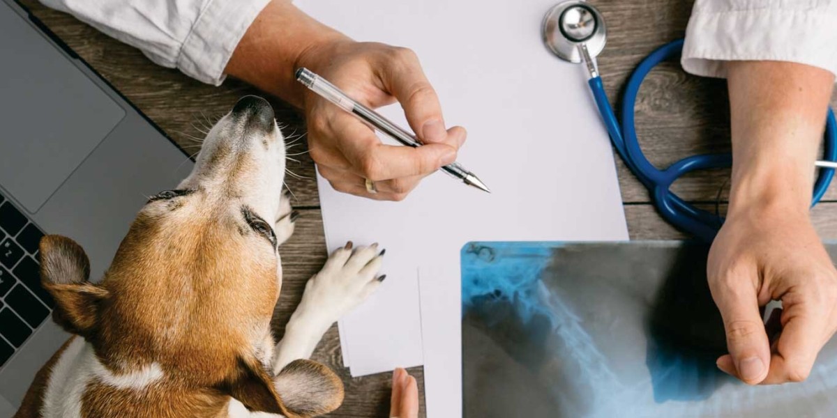 SDMA: Transformando o Diagnóstico Veterinário e Melhorando a Saúde dos Pets