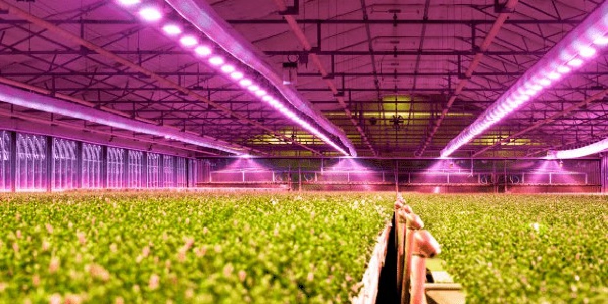 Aquaculture LED Lighting: Revolutionizing Sustainable Fish Farming