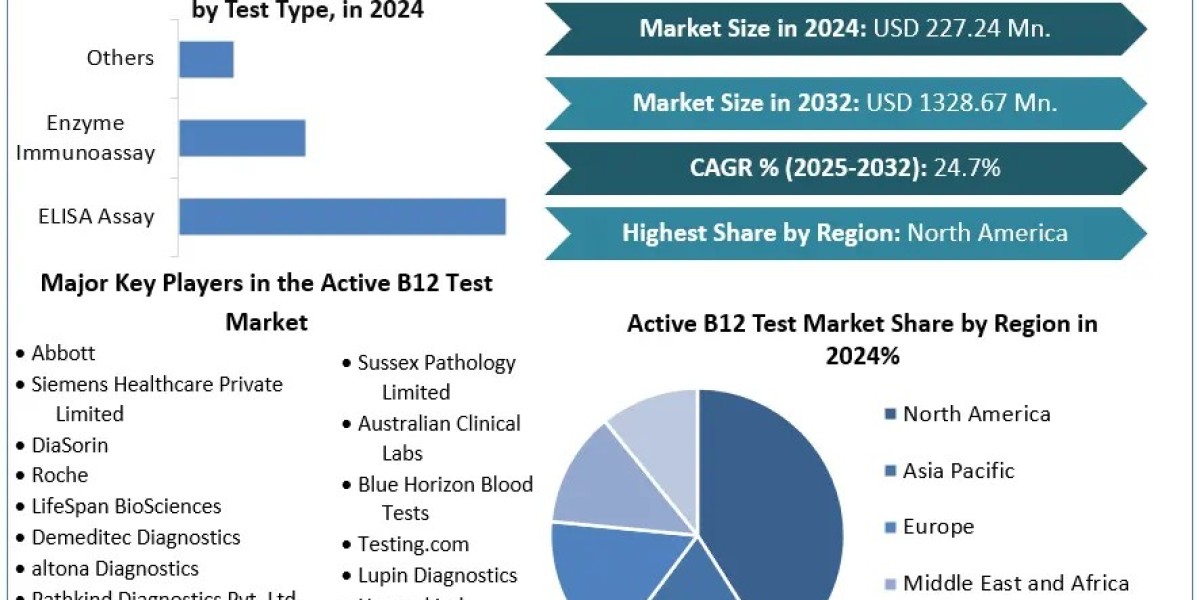 Active B12 Test Market	Data Decoded: Segmentation, Outlook, and Overview for Business Success | 2025-2032