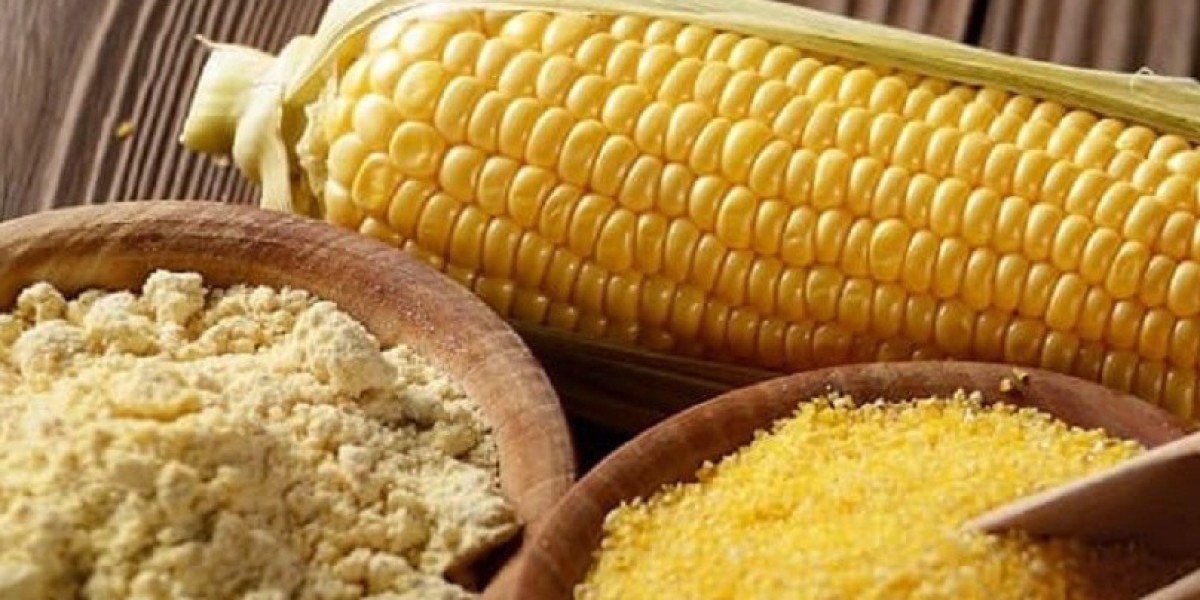 Corn Flour Market: Why Corn Flour is a Kitchen Staple