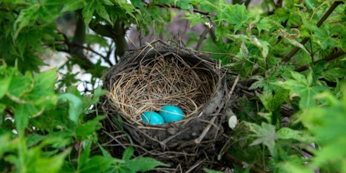 Why Bird Netting is the Most Humane Method to Repel Birds