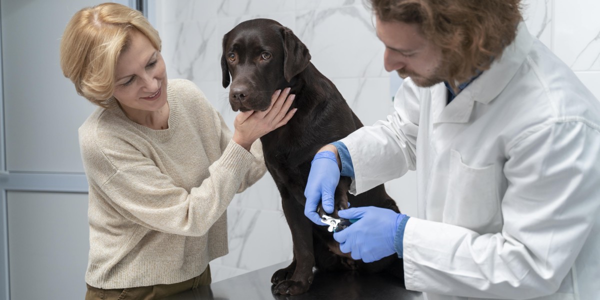 Veterinary Pain Management Market: Trends, Growth Drivers, and Future Outlook