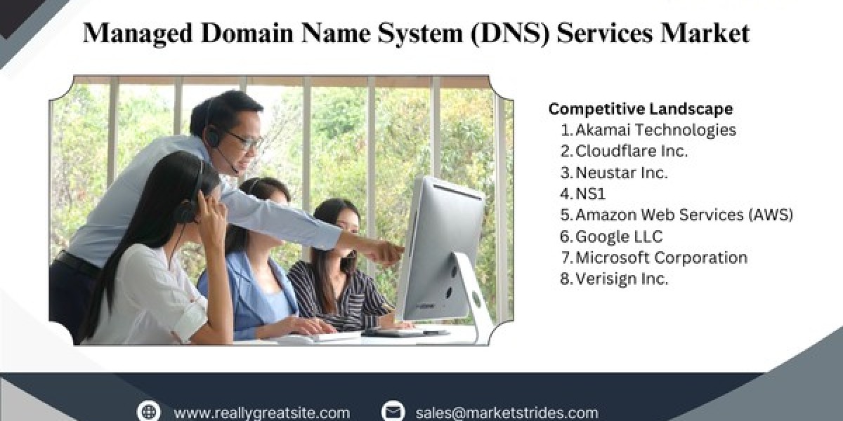 Managed Domain Name System (DNS) Services Market Report 2025-2033: Trends, Opportunities, and Forecast