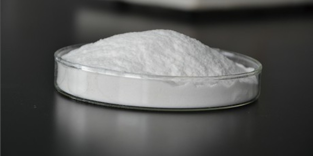 Carboxymethyl Cellulose Market: Trends, Growth Drivers, and Future Prospects