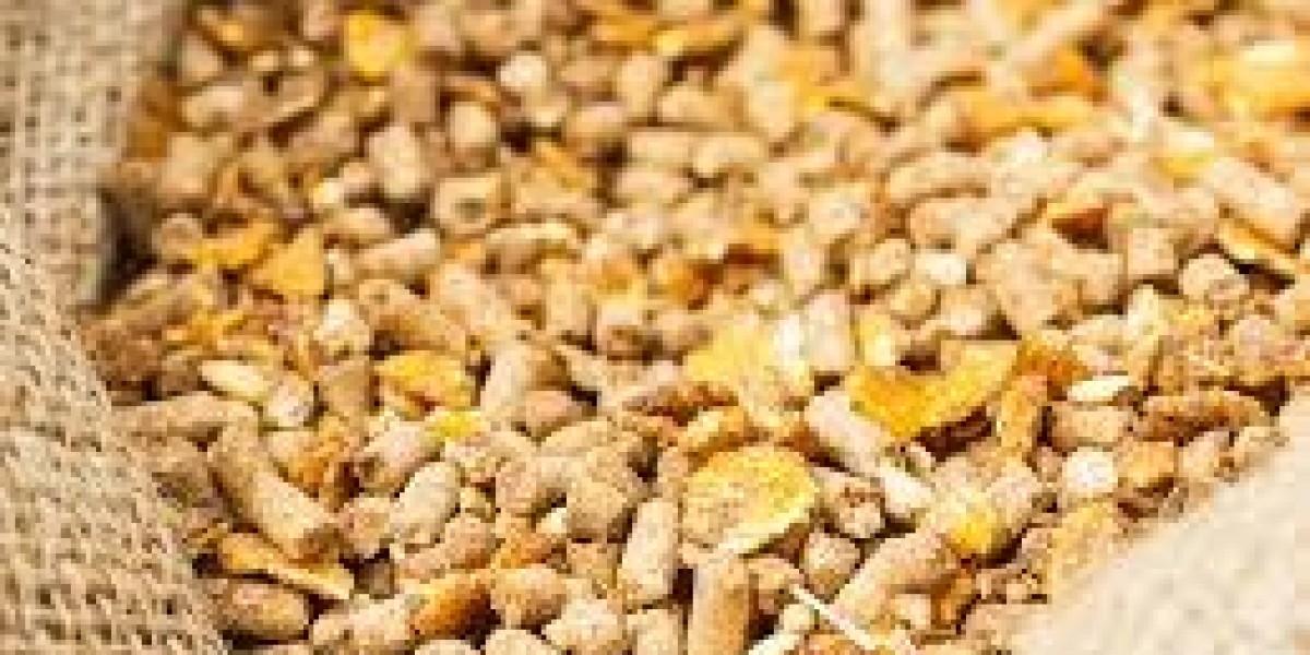 Animal Feed Additives Market Potential: Why Sustainability and Health Trends Are Driving Market Expansion Globally