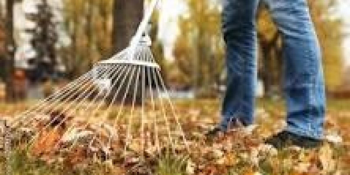 Garden Rubbish Removal Melbourne: A Hassle-Free Way to Clear Your Green Waste