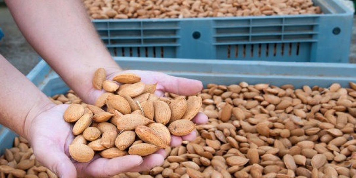 Almond Processing Plant Project Report 2025: Industry Trends and Raw Materials Requirement