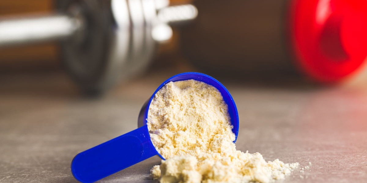 Deproteinized Whey Market Unleashing New Growth Avenues in the Food Industry