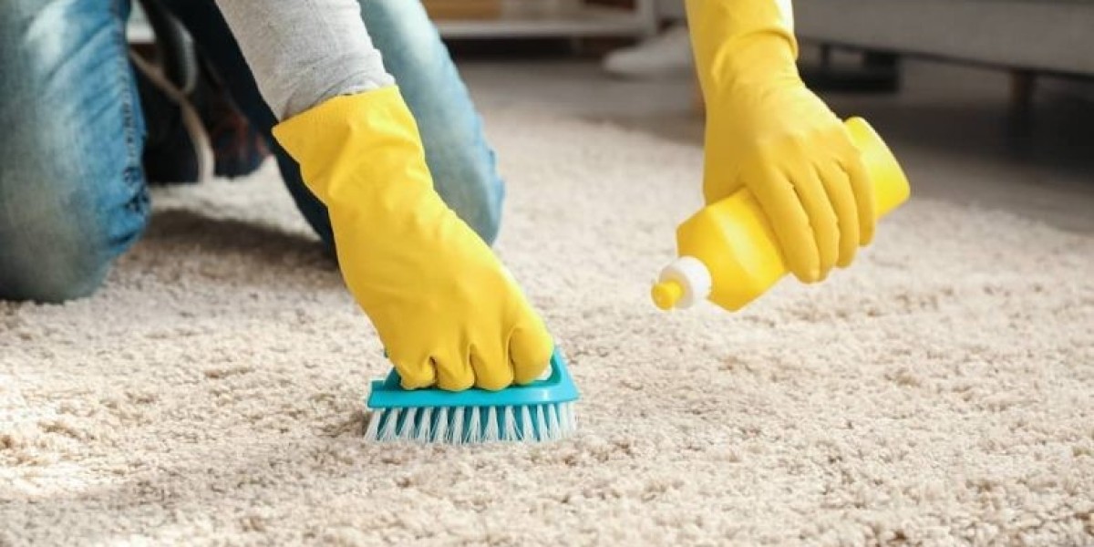 The Impact of Professional Carpet Cleaning on Home Aesthetics