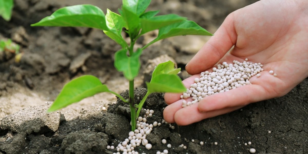 Silicon Fertilizers Market Growth, Trends, and Future Innovations for Sustainable Agricultural Productivity Worldwide