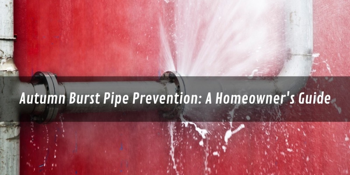 Autumn Burst Pipe Prevention: A Homeowner's Guide