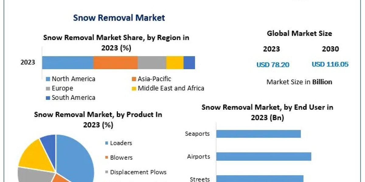 Snow Removal Market Opportunities Surge as Climate Change Increases Snowfall Variability