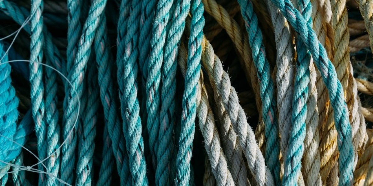 Ropes Market Developments: Key Trends and Innovations Shaping the Future of the Industry