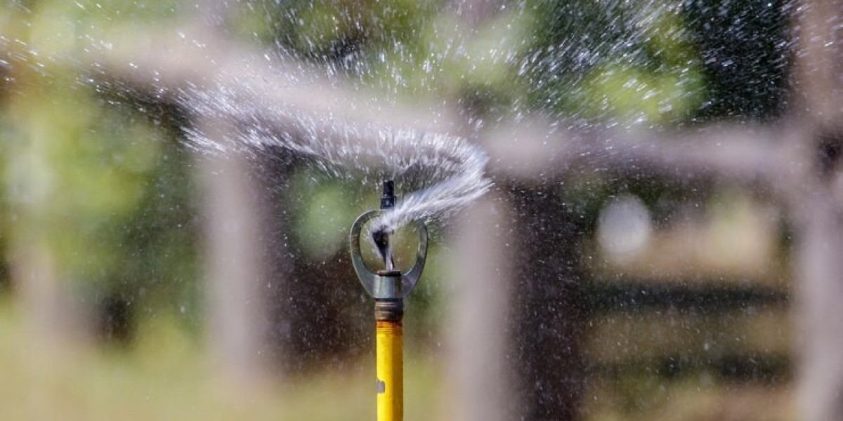 Sprinkler Irrigation Systems Market: Trends, Growth, and Future Prospects