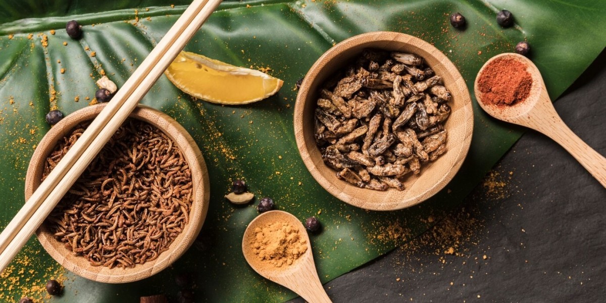 How Insect Protein Is Reshaping the Global Food Supply Chain