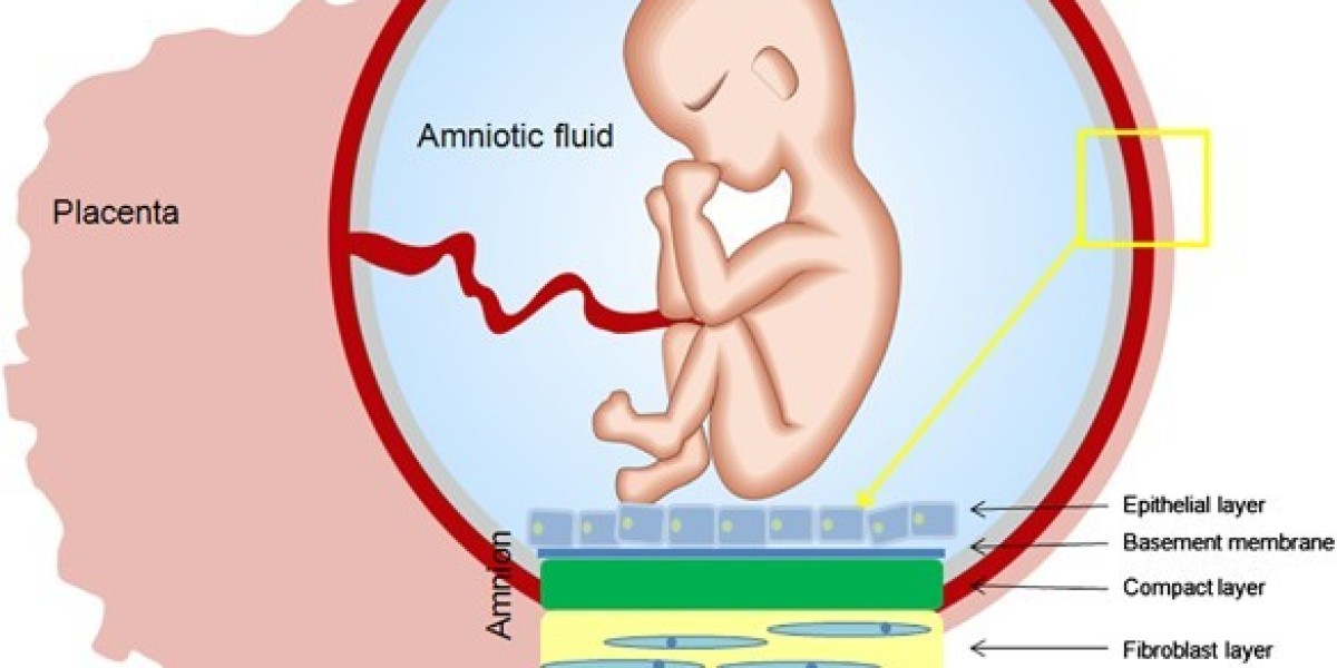 Amniotic Membrane Market: Trends, Growth Drivers, and Future Outlook