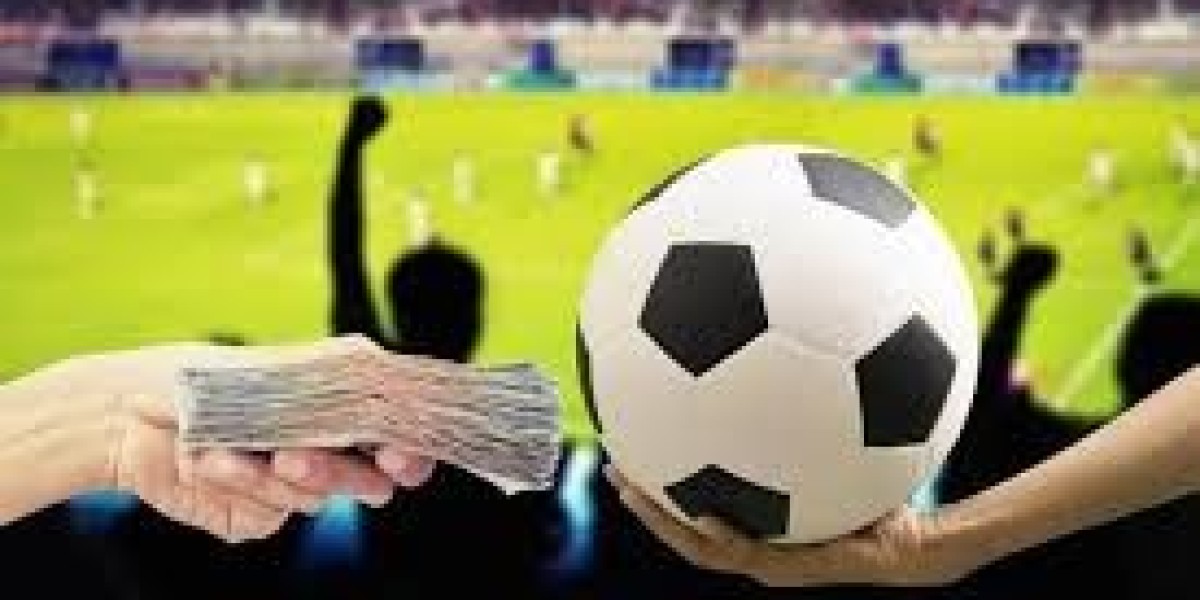 Verified & Profitable – Vietnam’s Leading Sportsbooks for 2024!