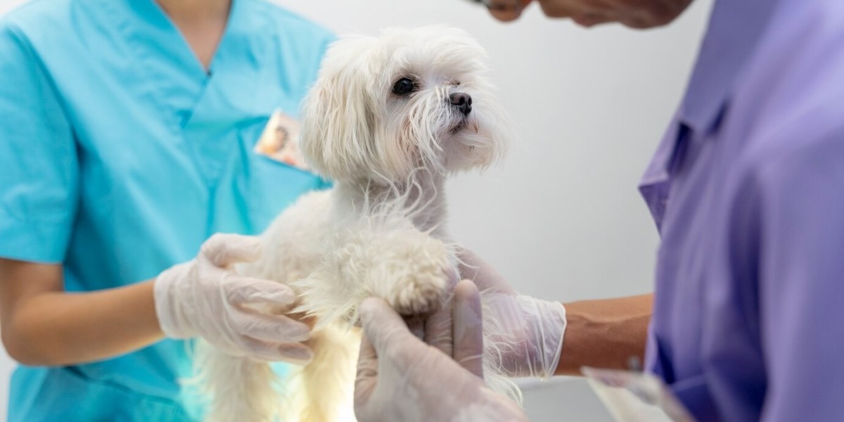 Veterinary Ultrasound Scanner Market Growth Challenges Highlighting Industry Obstacles