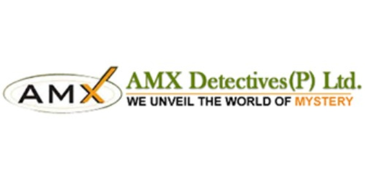 AMX Detectives: Trusted Detective Agency in Chandigarh