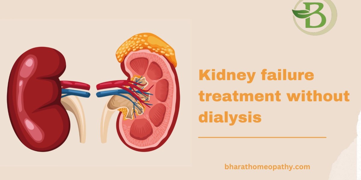 Holistic Approach to Chronic Kidney Disease: Homeopathy for Natural Healing