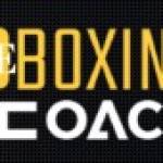 dboxing coach