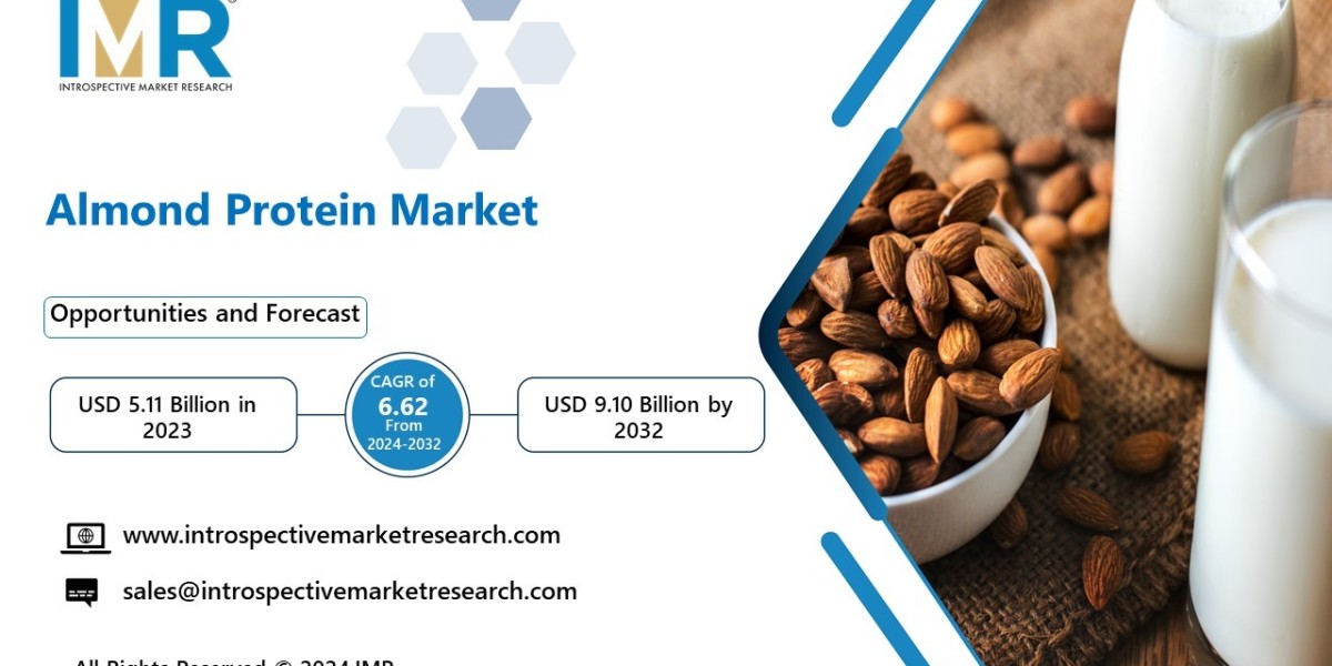 Almond Protein Market to Witness Huge Growth by 2032: Key Players | BASF SE, Celtic Sea Minerals, HMHS Solutions Limited