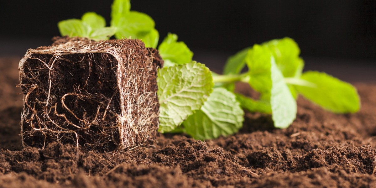 The Expanding Soil Amendments Market – Insights, Trends, and Opportunities