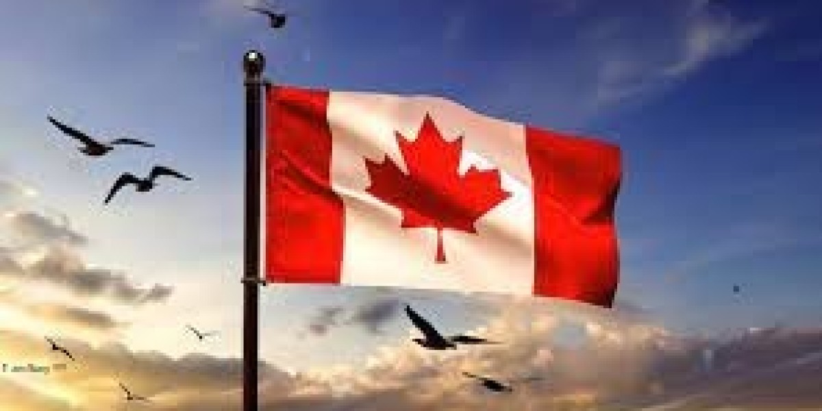 Canada Immigration Consultants In Dubai